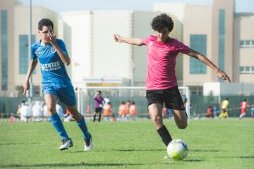 意甲：贝拉尔迪闪击 托莫里染红 萨索洛2-0完胜10人AC米兰（配图示意）